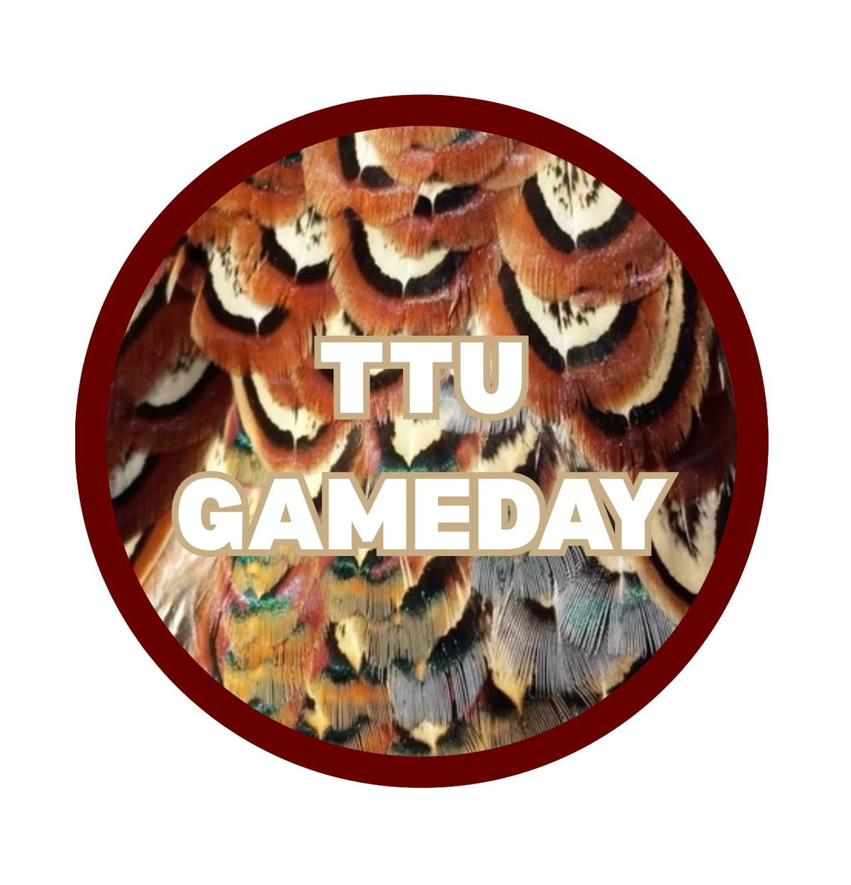 Raider Wings Maroon Pin