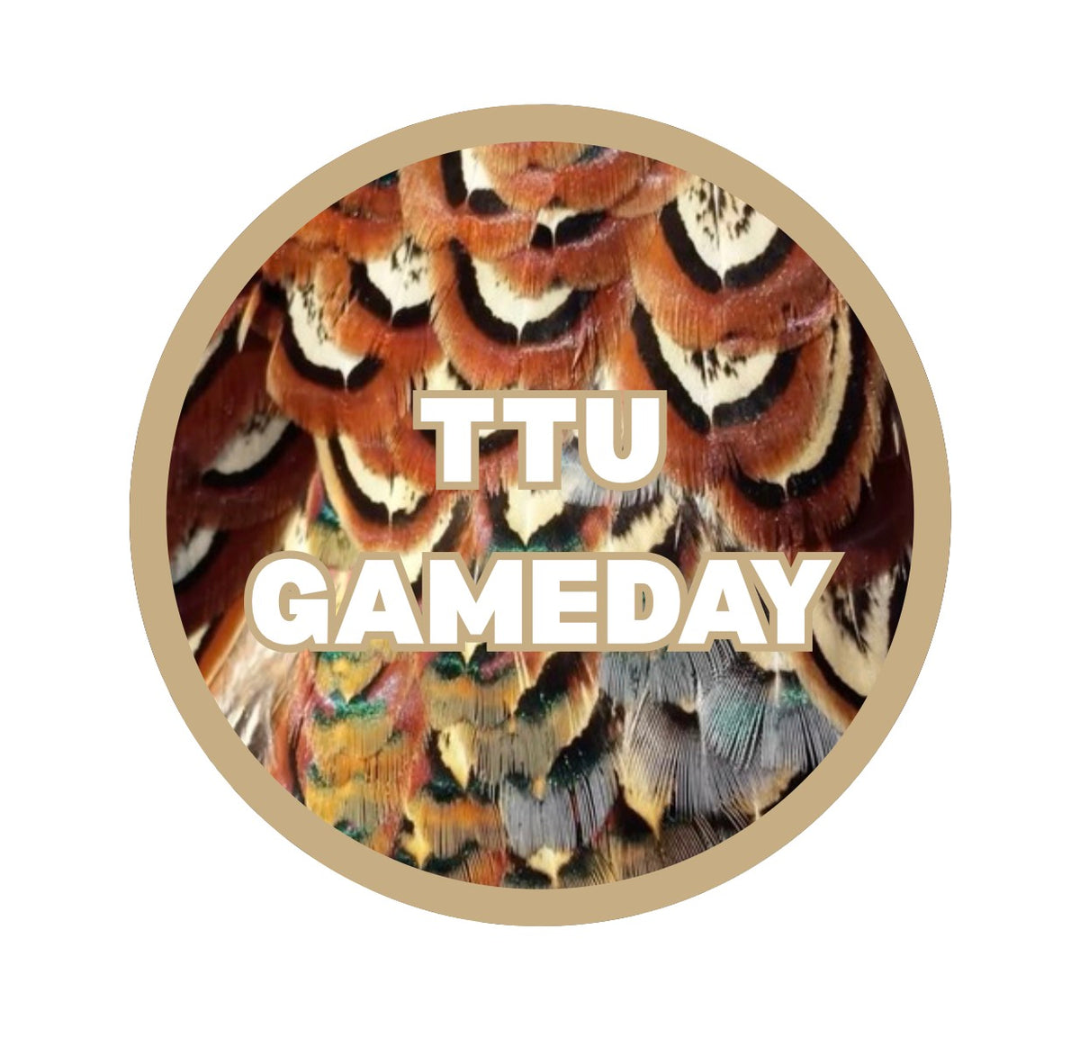 Raider Wings Beige Pin