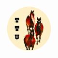 The TTU Horses Pin